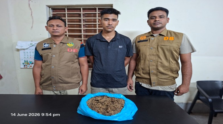 রাজশাহীতে আরএমপি’র মাদকবিরোধী অভিযানে ১ মাদক ব্যবসায়ী গ্রেপ্তার; ১ কেজি গাঁজা উদ্ধার