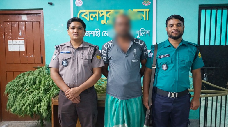 রাজশাহী মহানগরীতে আরএমপির মাদকবিরোধী অভিযানে ১ মাদক ব্যবসায়ী গ্রেপ্তার; গাঁজার গাছ উদ্ধার